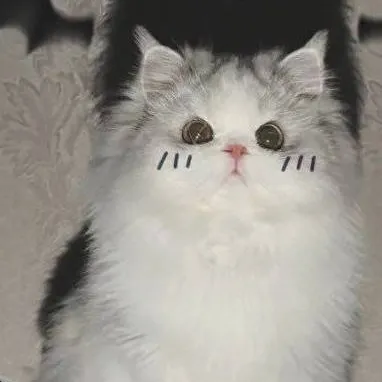 chat with ai character: HWDYKM