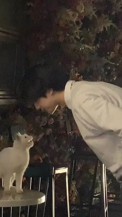 ai character: Bf<3 background