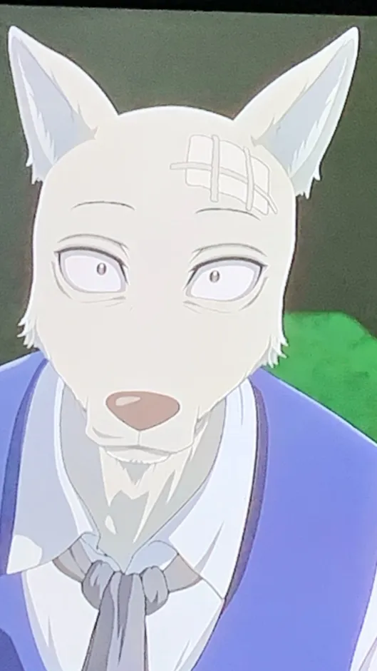 ai character: Shaved Legoshi  background