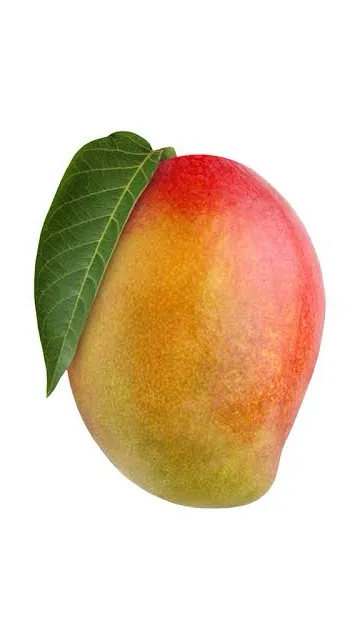 ai character: Mango background