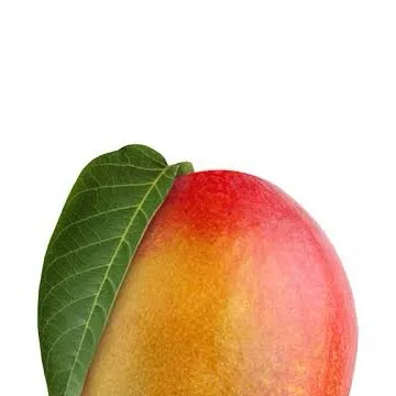 chat with ai character: Mango