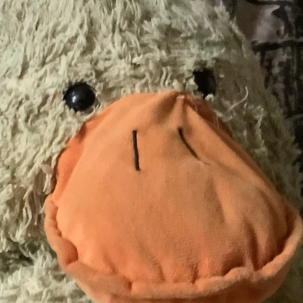 chat with ai character: Ducky