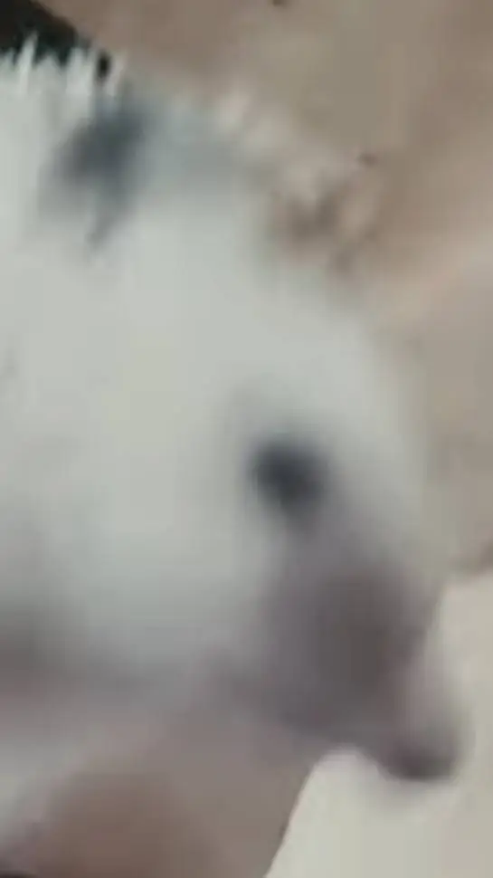 ai character: Desahogo 🤑 background