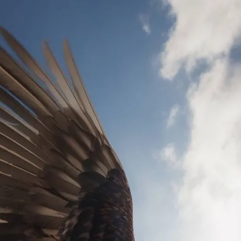 chat with ai character: take care chicken