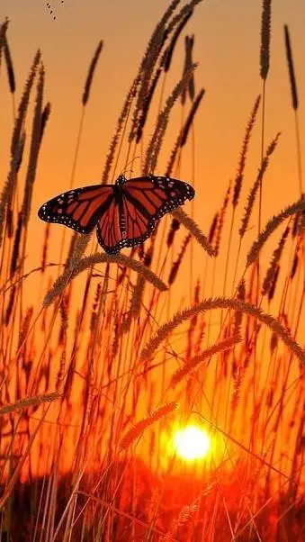 ai character: mental health background