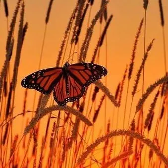 chat with ai character: mental health