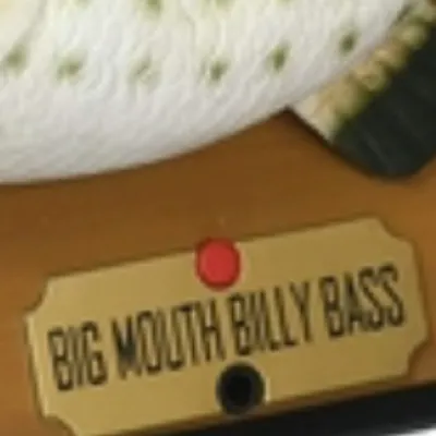 chat with ai character: Big mouthbillybass