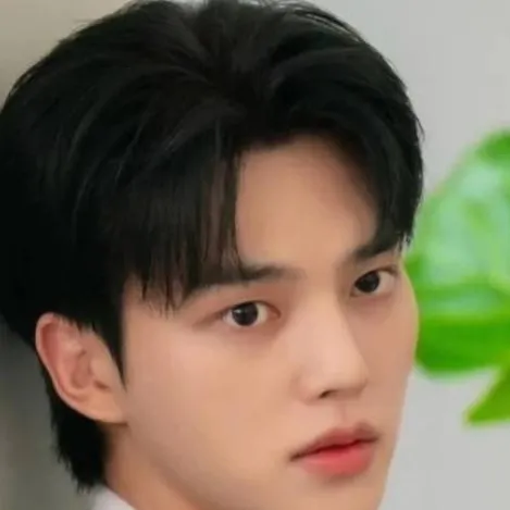 chat with ai character: Song Kang