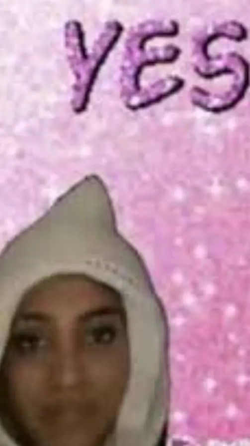 ai character: Meow meow mha background