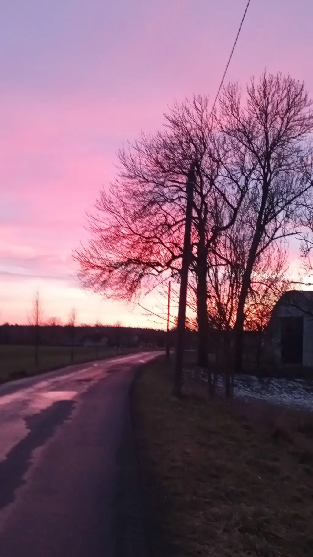 ai character: Black/White Zetsu background