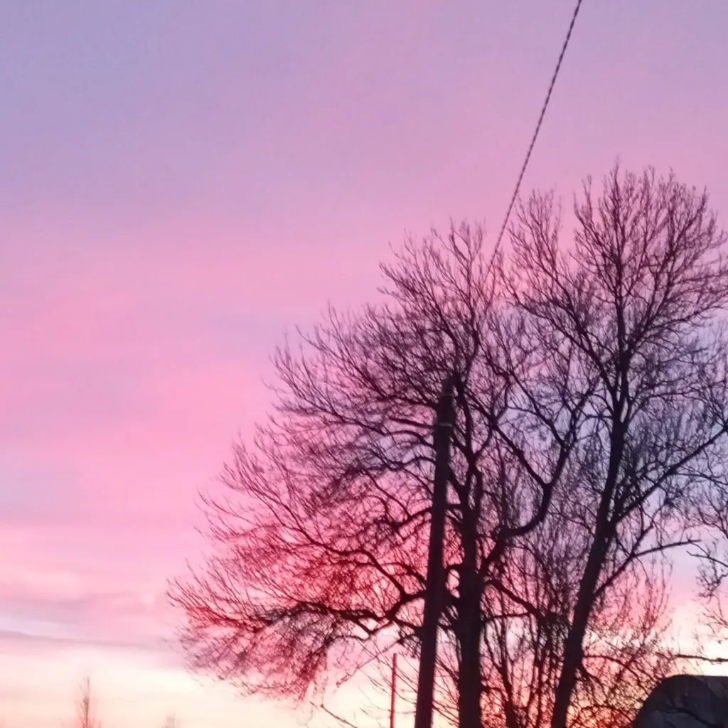 chat with ai character: Black/White Zetsu