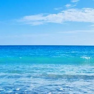 chat with ai character: OBX