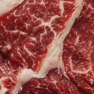 chat with ai character: Meat core 🥩🐾🎀