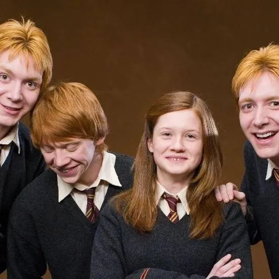 chat with ai character: ⛄Navidad Weasley!🎁