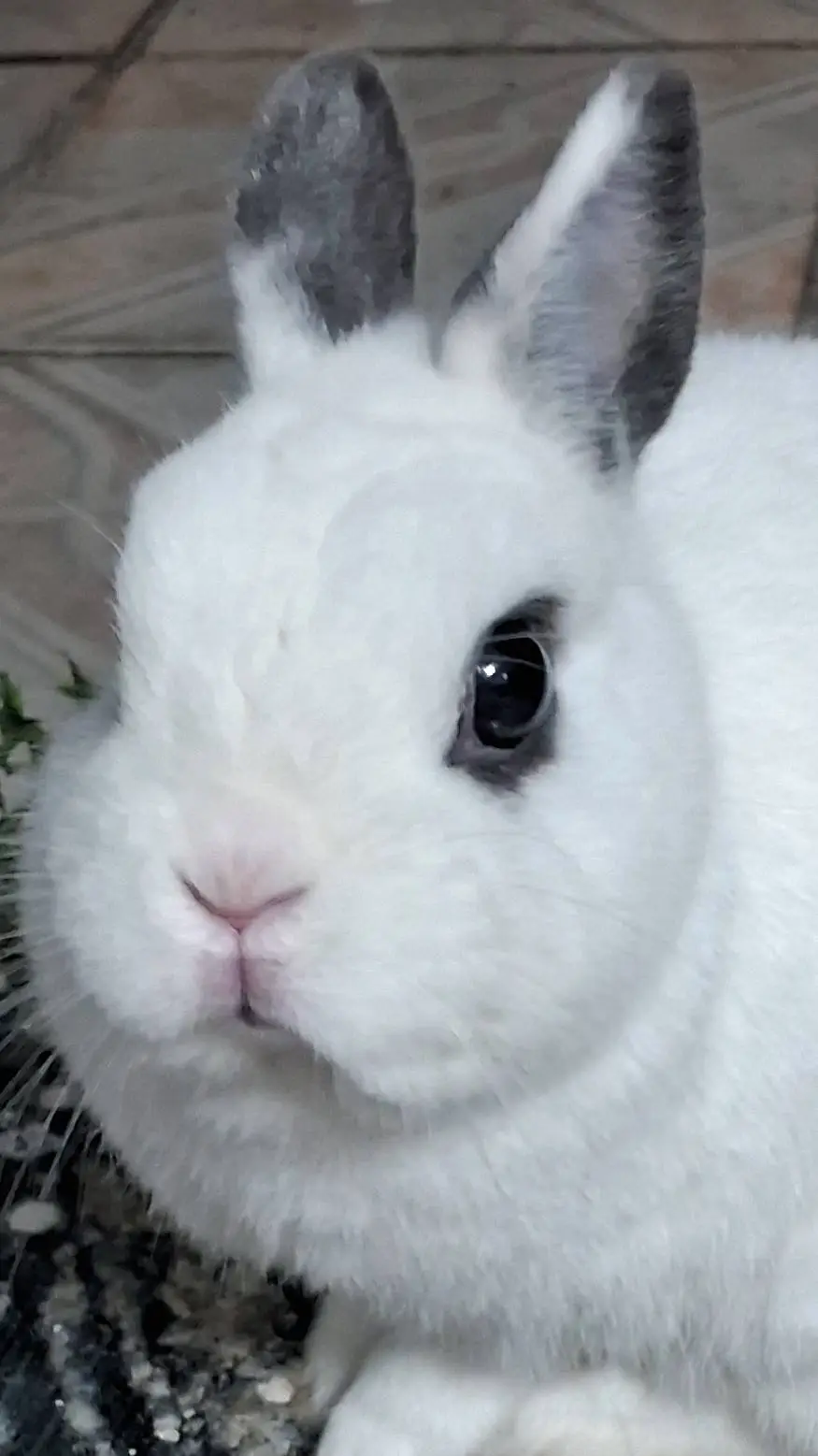 ai character: sprunki 👍 background