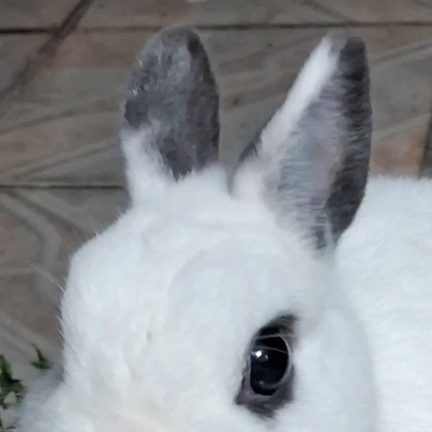 chat with ai character: sprunki 👍