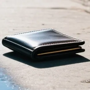 chat with ai character: Wallet