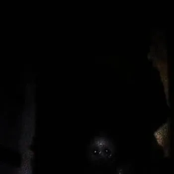 chat with ai character: Uğursuz