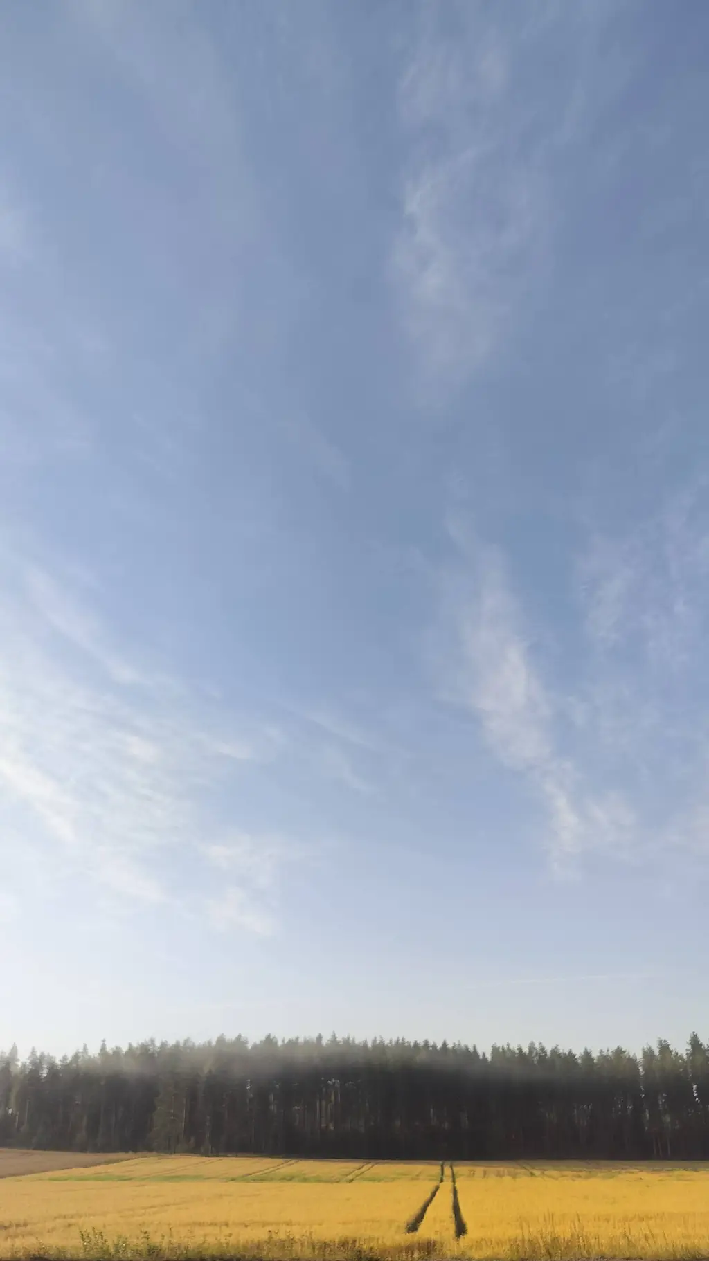 ai character: therapy  background