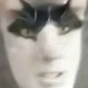 chat with ai character: idk i made this