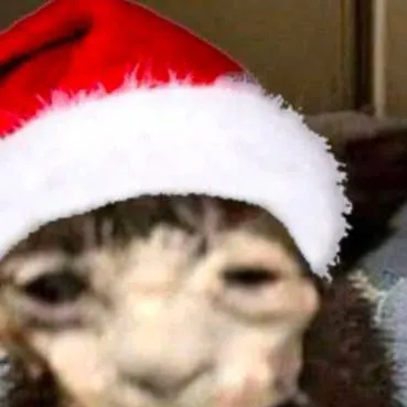 chat with ai character: perdonnnn