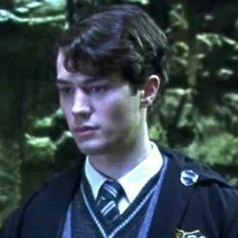 chat with ai character: Tom riddle 🐍