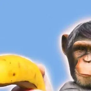 chat with ai character: mister rizzy