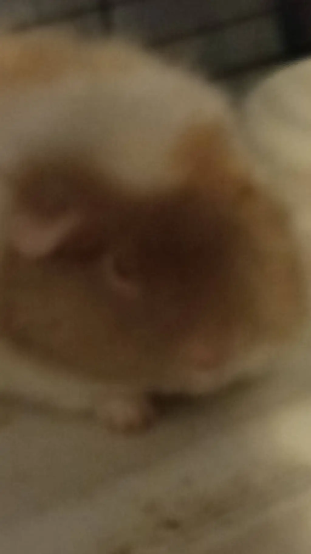 ai character: Quick Update  background