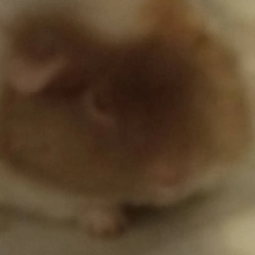 chat with ai character: Quick Update 