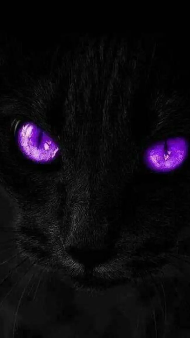 ai character:  nero background