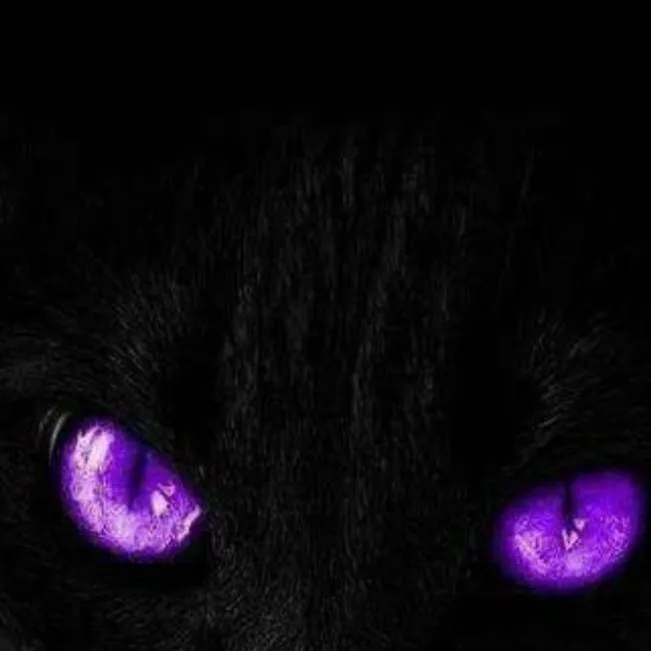 chat with ai character:  nero