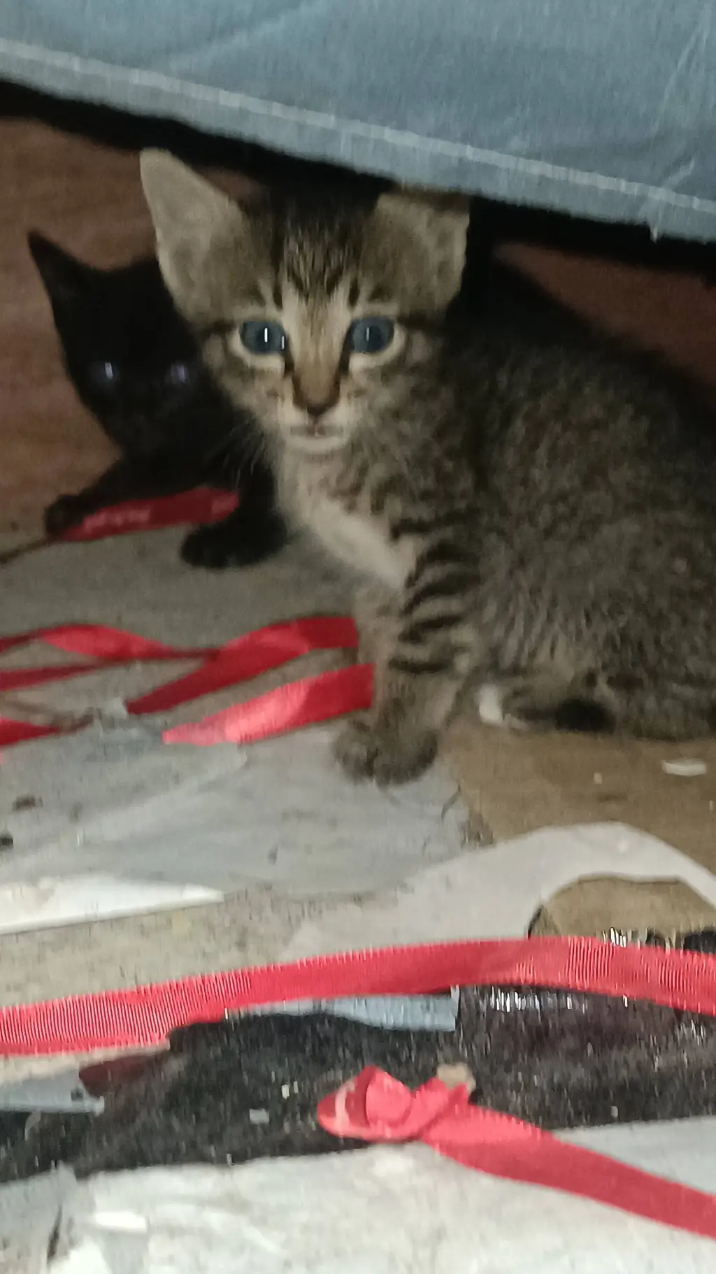 ai character: milly and minnie background