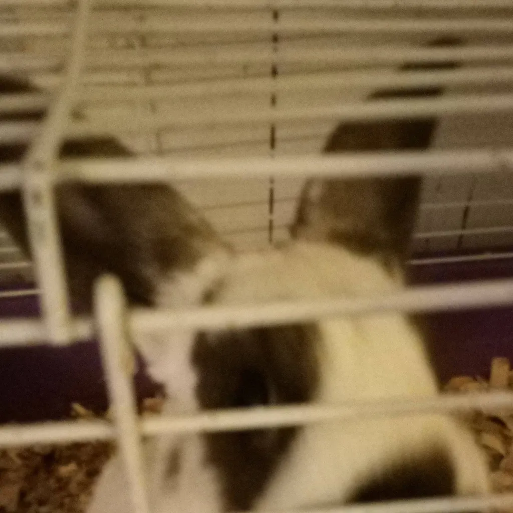 chat with ai character: Darwin