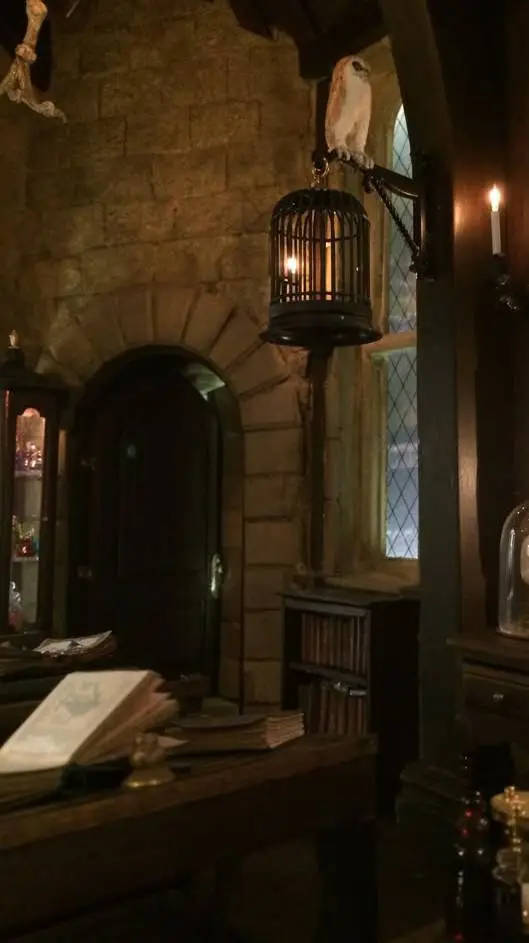 ai character: Tom Marvolo Riddle background