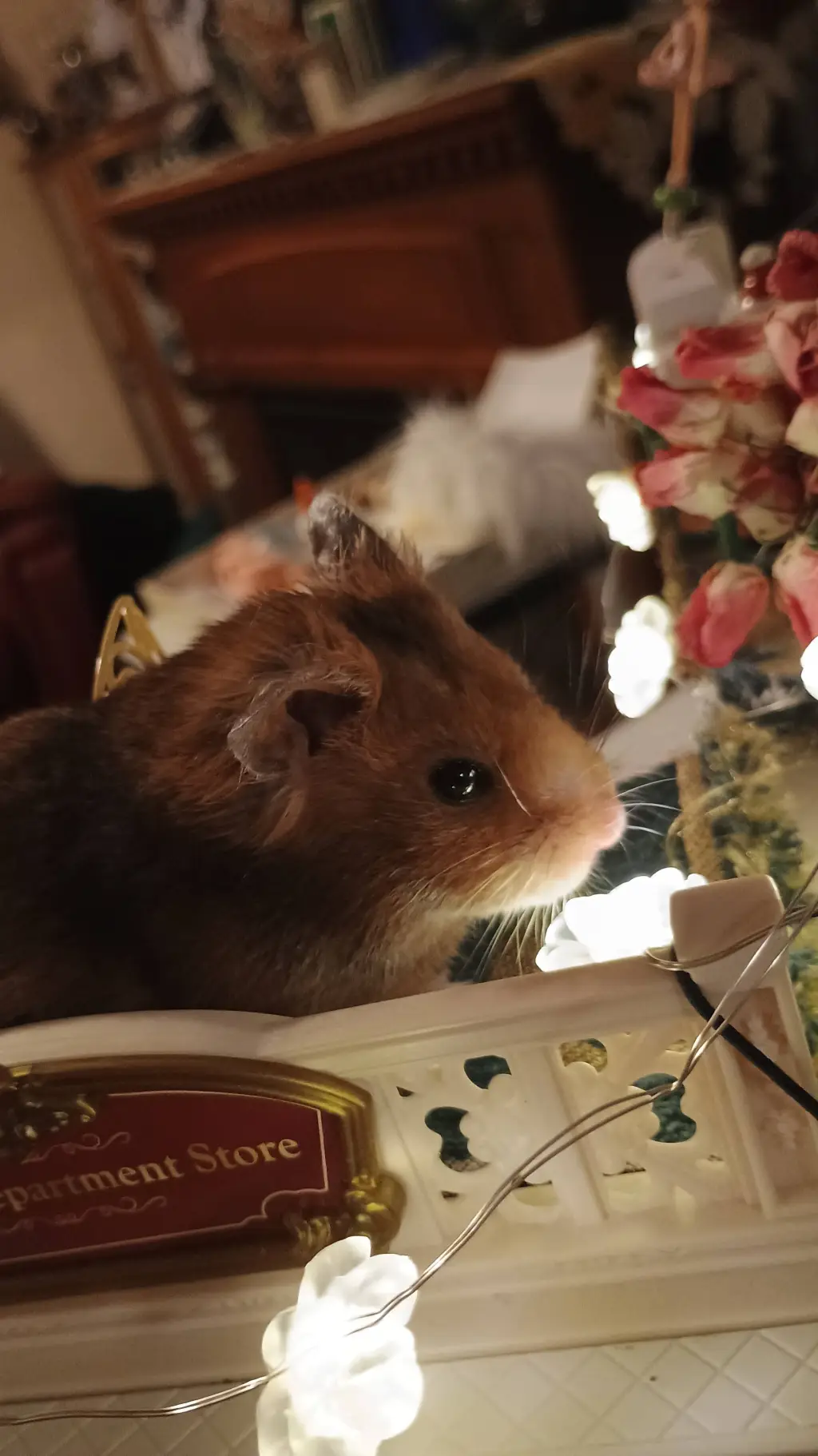 ai character: FLUFFY background