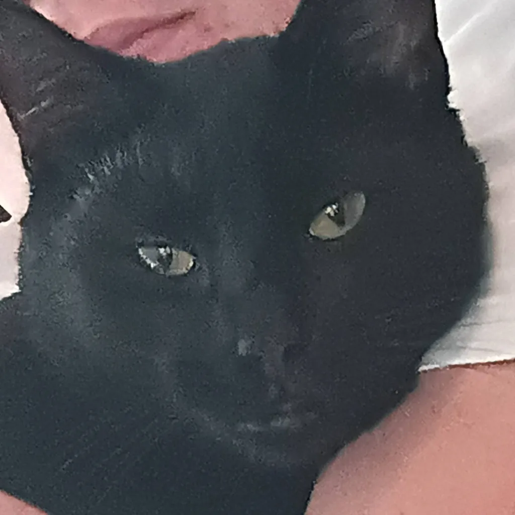 chat with ai character: ST s5 ep7