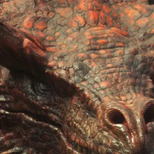 chat with ai character: DRAGONSSSS