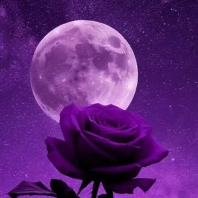 chat with ai character: Women's Rule