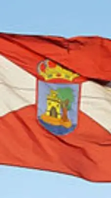 ai character: Vigo background