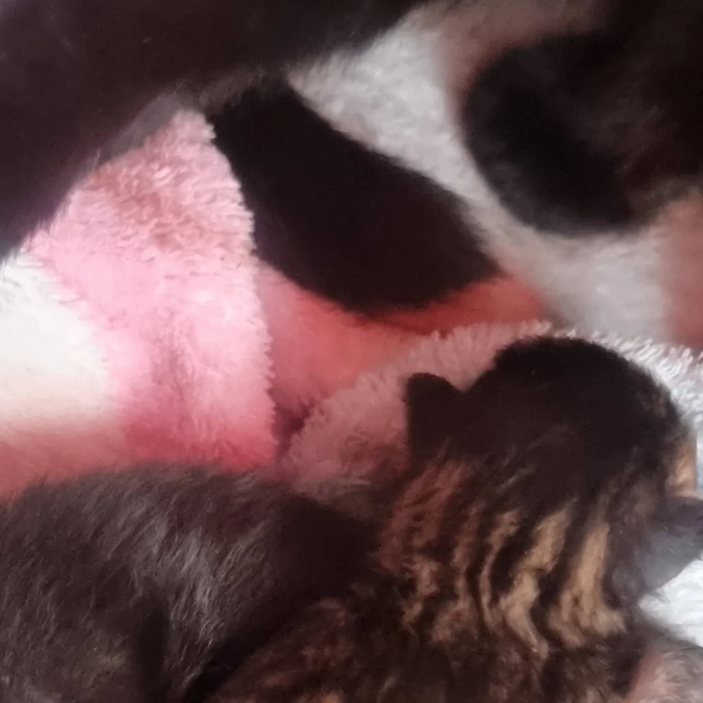 chat with ai character: Doom Slayer crush