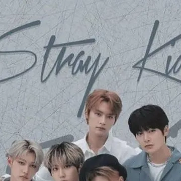 chat with ai character: stray kids 