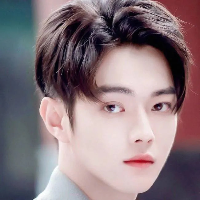 chat with ai character: Li Su Cheng