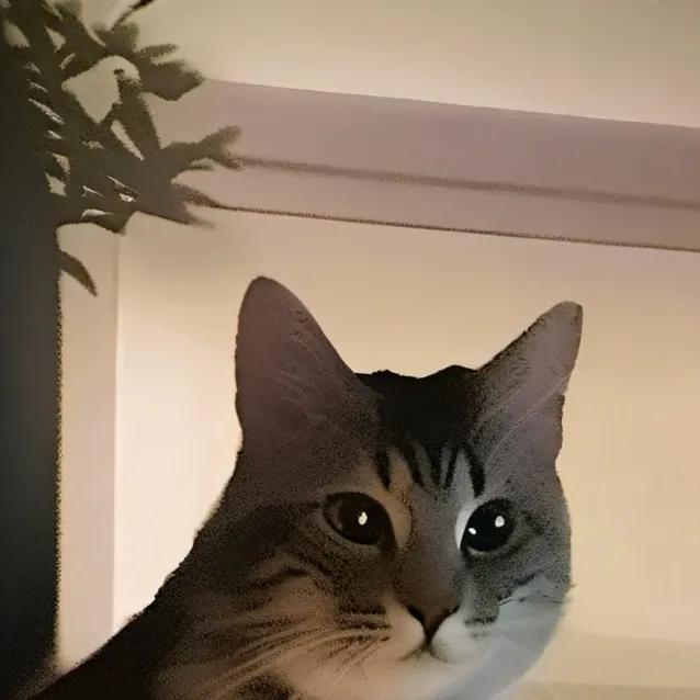 chat with ai character: Kitty