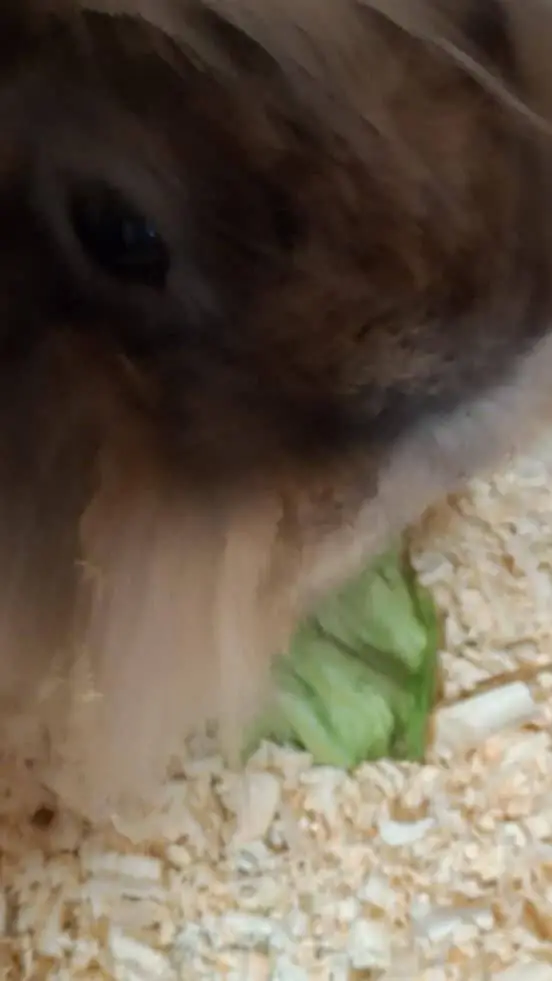 ai character: Me and mah friends background