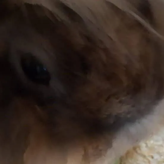 chat with ai character: Me and mah friends