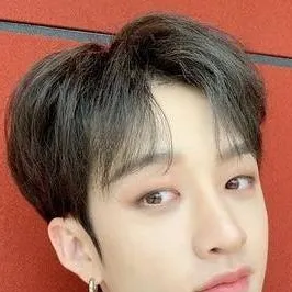 chat with ai character: Bangchan