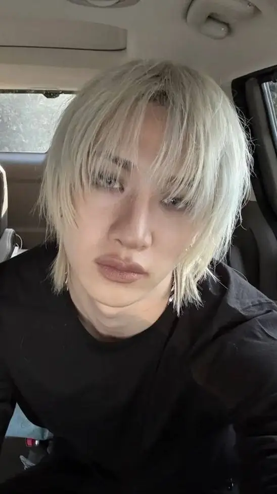 ai character: Bang Chan background