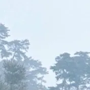 chat with ai character: Skz baby code