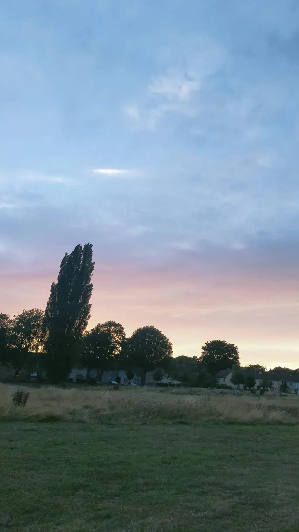 ai character: Mystery Saja  background