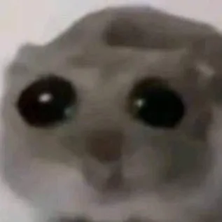 chat with ai character: sleepover